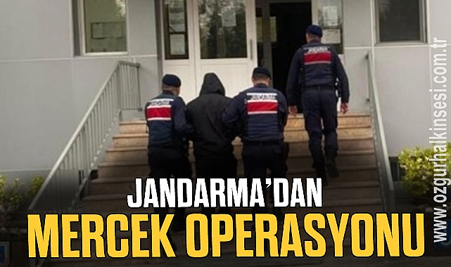 JANDARMADAN MERCEK OPERASYONU Zonguldak Zonguldak Haberleri Özgür